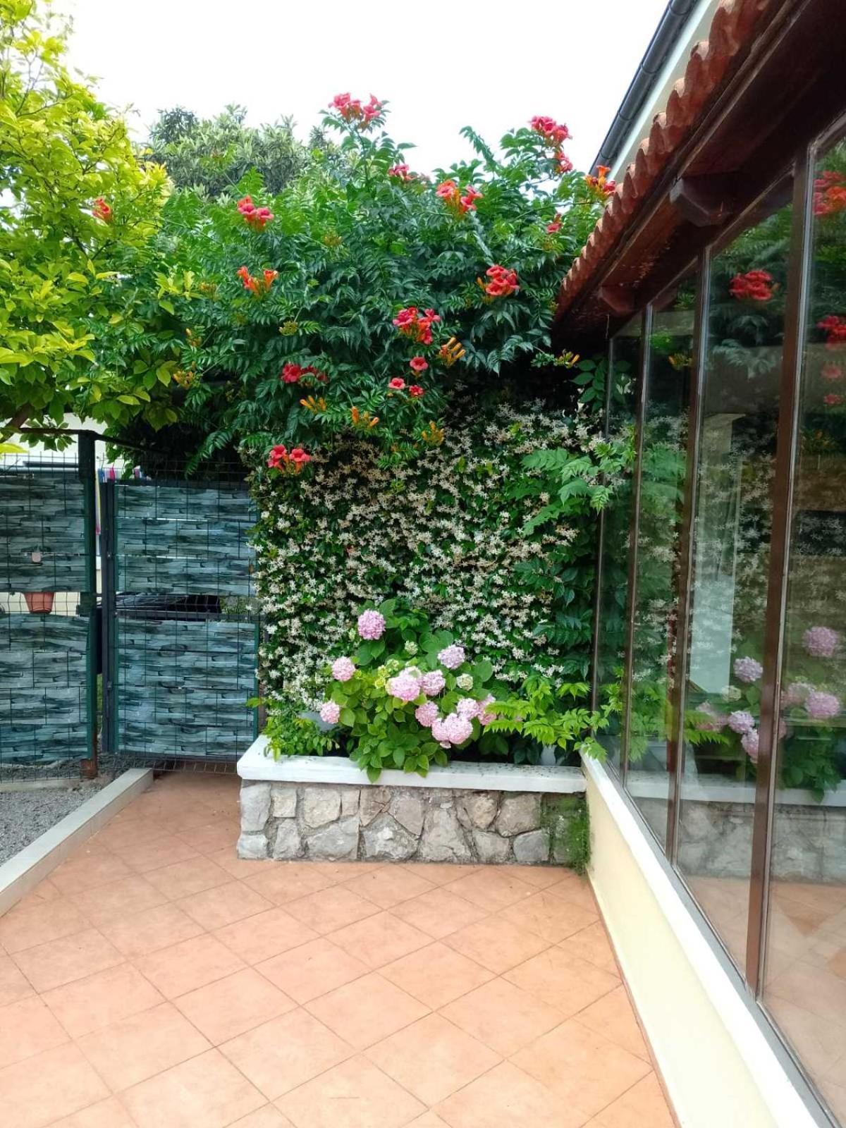 Apartment Ela, Kostrena Rijeka 外观 照片